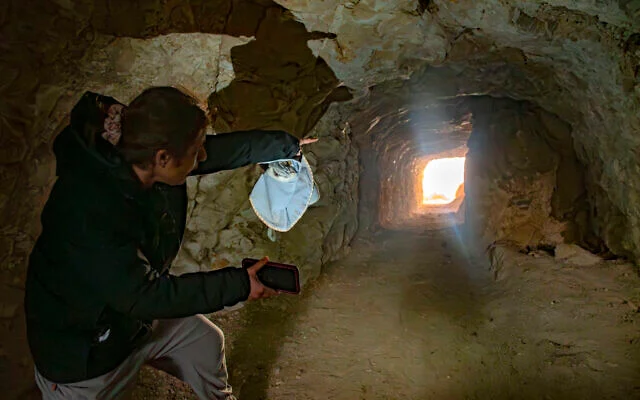 Illustration de l'article : Excursions archéologiques depuis Netanya : découvrez les trésors antiques d'Israël